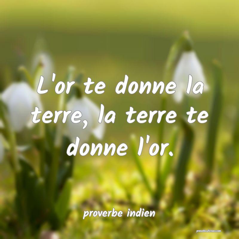  L'or te donne la terre, la terre te donne l'or.