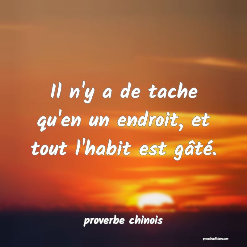  Il n'y a de tache qu'en un endroit, et tout l'habit est gâté.