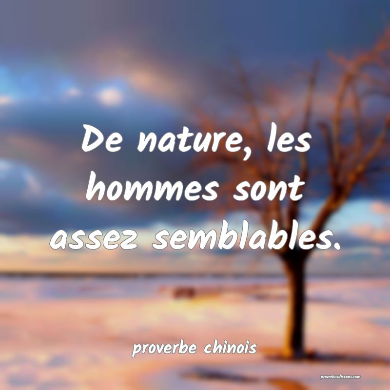  De nature, les hommes sont assez semblables.
