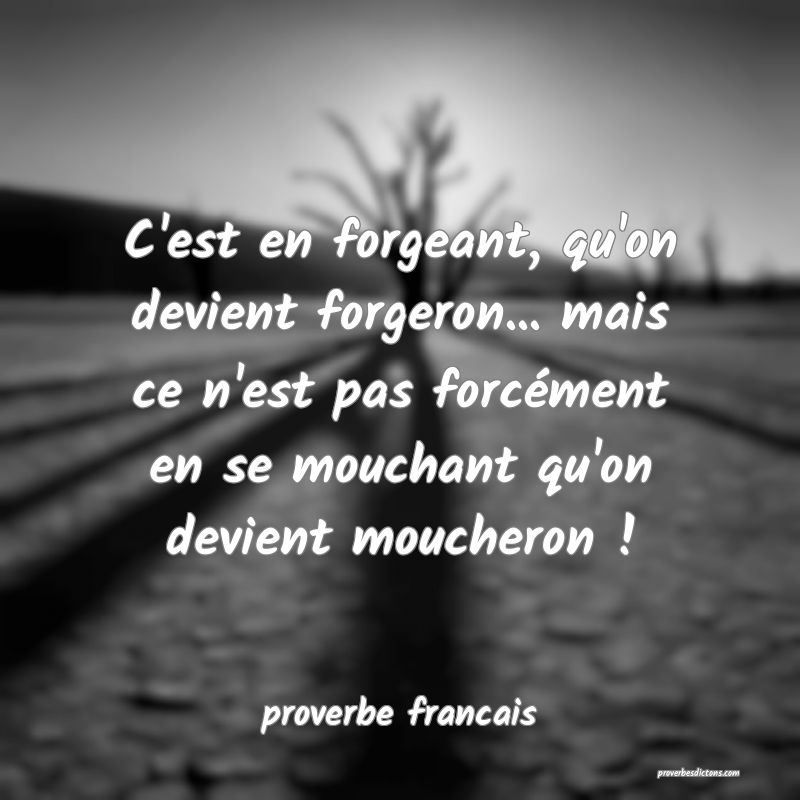  C'est en forgeant, qu'on devient forgeron... mais ce n'est pas forcément en se mouchant qu'on devient moucheron ! 