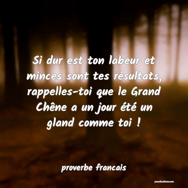  Si dur est ton labeur et minces sont tes résultats, rappelles-toi que le Grand Chêne a un jour été un gland comme toi !