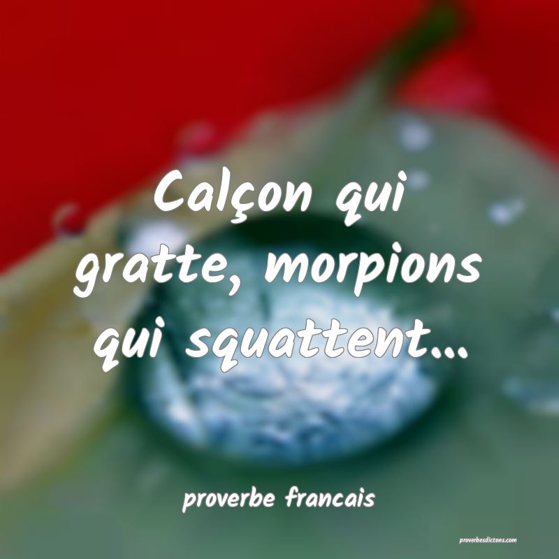  Calçon qui gratte, morpions qui squattent...