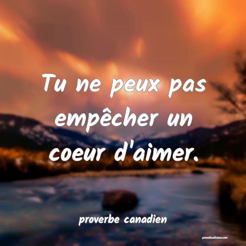  Tu ne peux pas empêcher un coeur d'aimer.