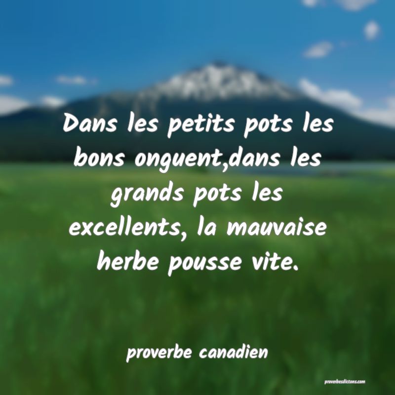  Dans les petits pots les bons onguent,dans les grands pots les excellents, la mauvaise herbe pousse vite.