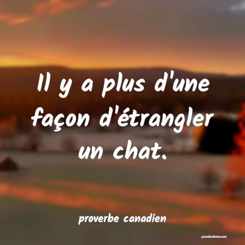  Il y a plus d'une façon d'étrangler un chat.