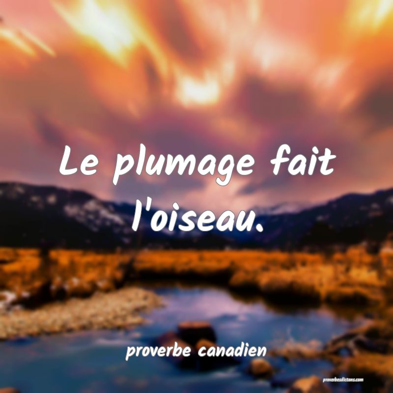  Le plumage fait l'oiseau.