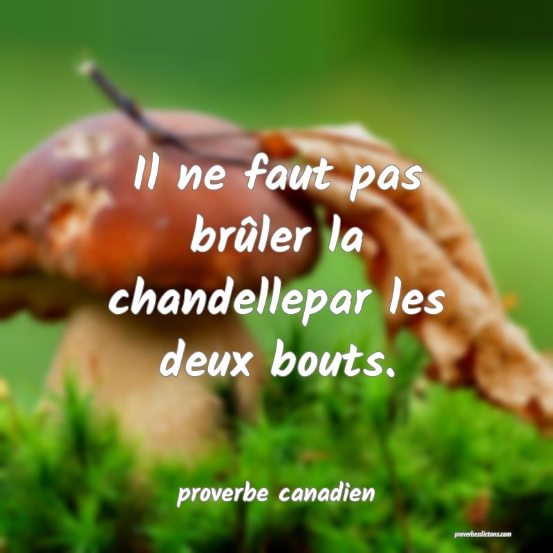  Il ne faut pas brûler la chandellepar les deux bouts.