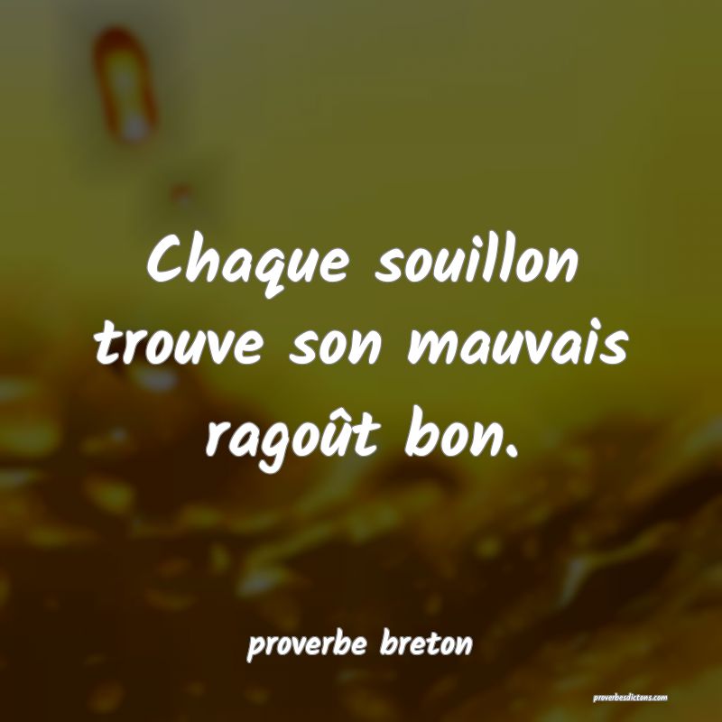  Chaque souillon trouve son mauvais ragoût bon.