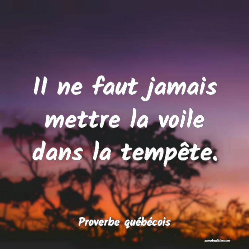  II ne faut jamais mettre la voile dans la tempête.