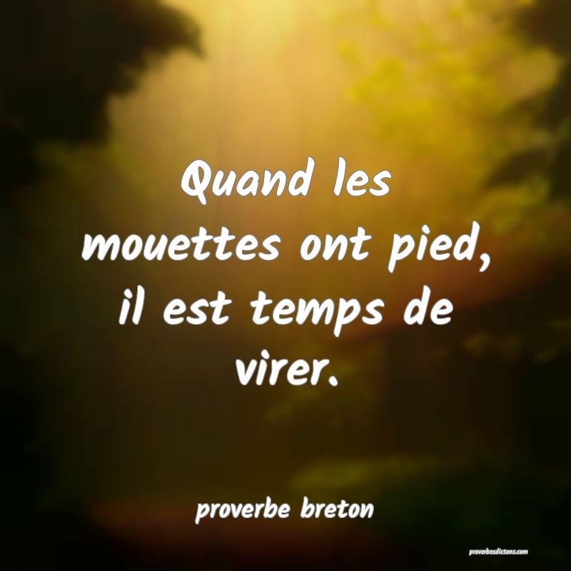  Quand les mouettes ont pied, il est temps de virer.