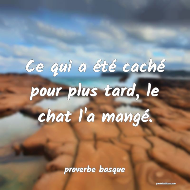  Ce qui a été caché pour plus tard, le chat l'a mangé.