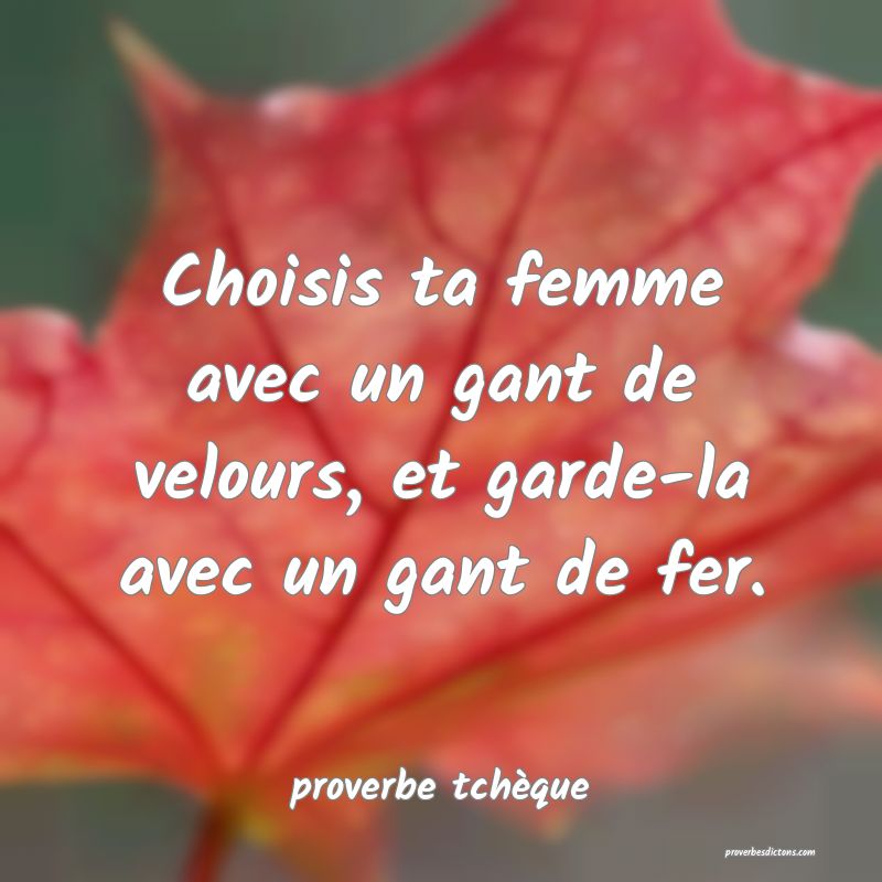  Choisis ta femme avec un gant de velours, et garde-la avec un gant de fer.