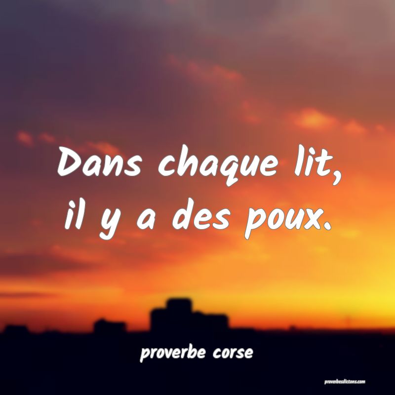 Dans chaque lit, il y a des poux.