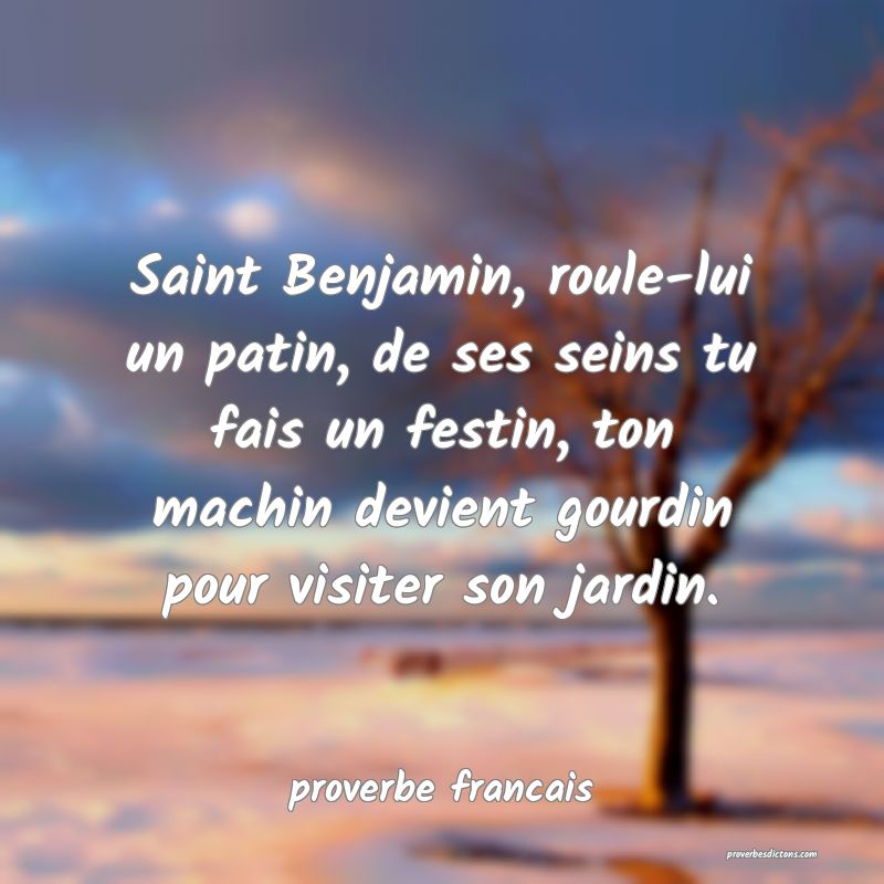  Saint Benjamin, roule-lui un patin, de ses seins tu fais un festin, ton machin devient gourdin pour visiter son jardin.