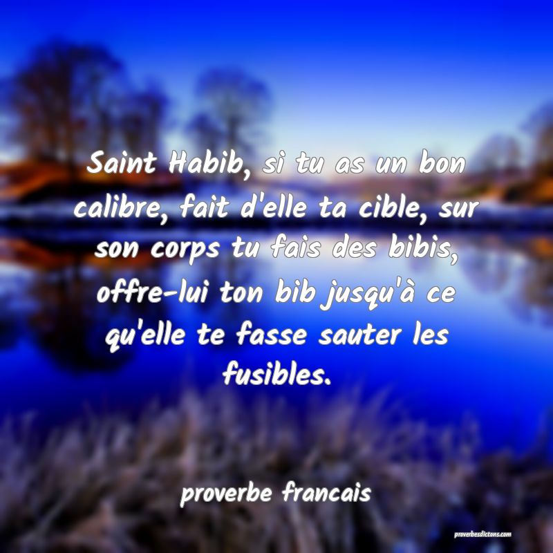 Saint Habib, si tu as un bon calibre, fait d'elle ta cible, sur son corps tu fais des bibis, offre-lui ton bib jusqu'à ce qu'elle te fasse sauter les fusibles.