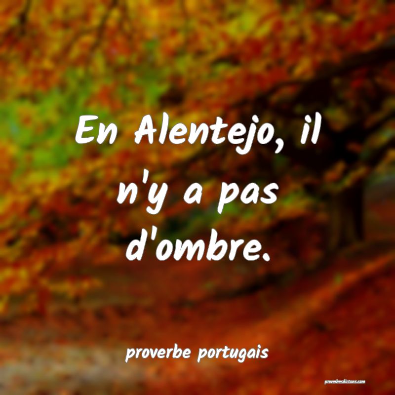 En Alentejo, il n'y a pas d'ombre.