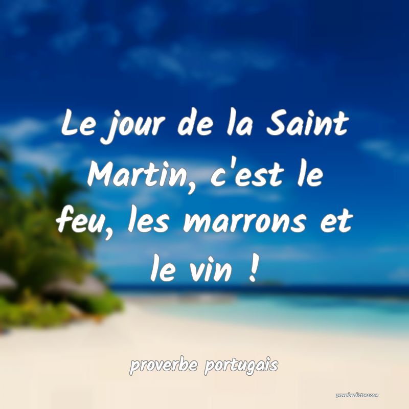  Le jour de la Saint Martin, c'est le feu, les marrons et le vin !