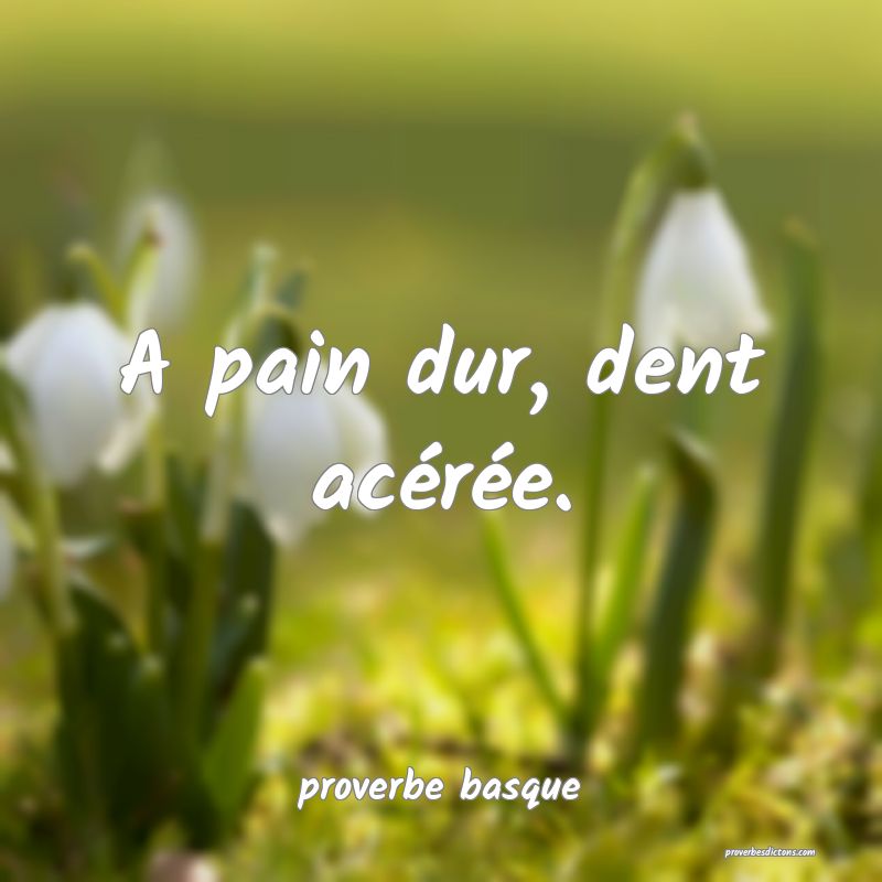  A pain dur, dent acérée.