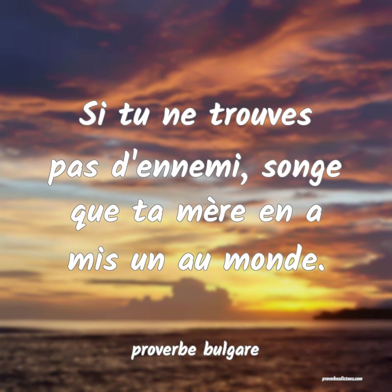  Si tu ne trouves pas d'ennemi, songe que ta mère en a mis un au monde.