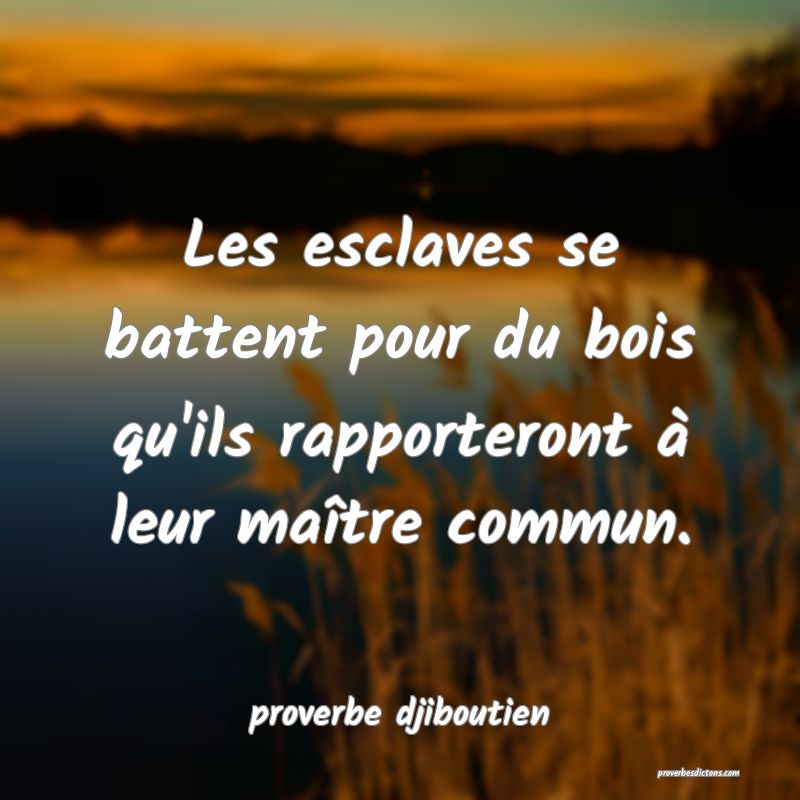 Les esclaves se battent pour du bois qu'ils rapporteront à leur maître commun.
