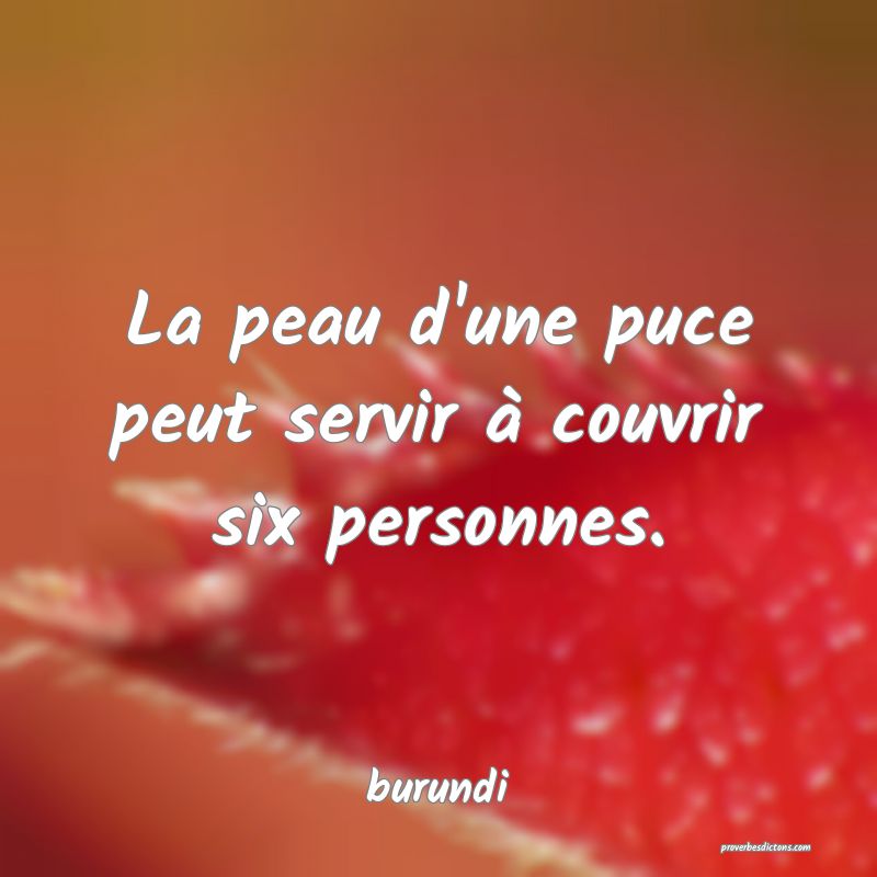 La peau d'une puce peut servir à couvrir six personnes.