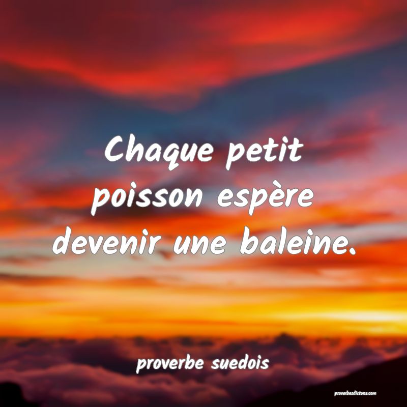  Chaque petit poisson espère devenir une baleine.