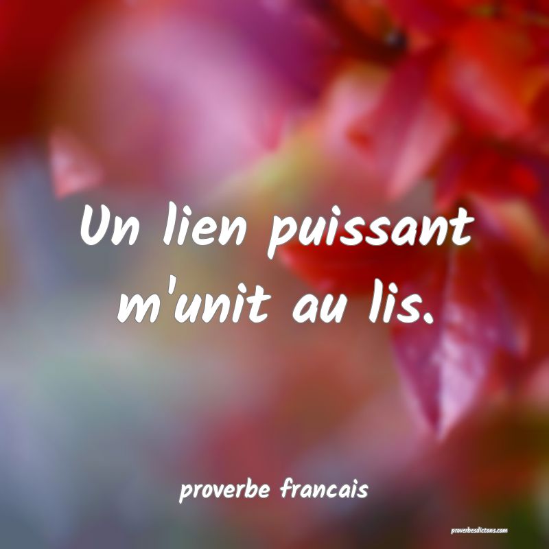  Un lien puissant m'unit au lis.