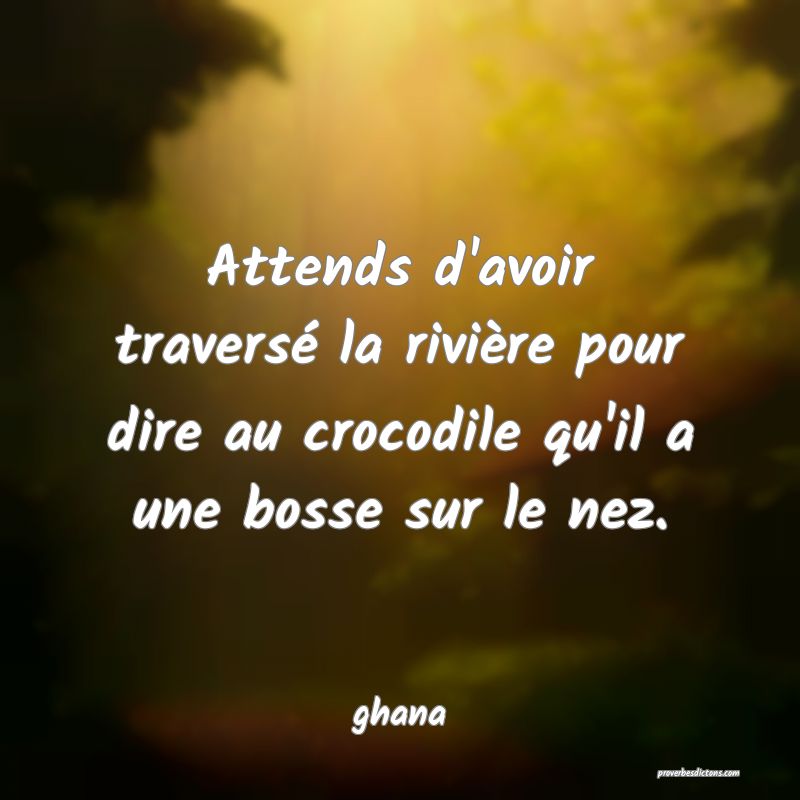 Attends d'avoir traversé la rivière pour dire au crocodile qu'il a une bosse sur le nez.