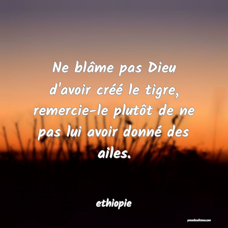 Ne blâme pas Dieu d'avoir créé le tigre, remercie-le plutôt de ne pas lui avoir donné des ailes.