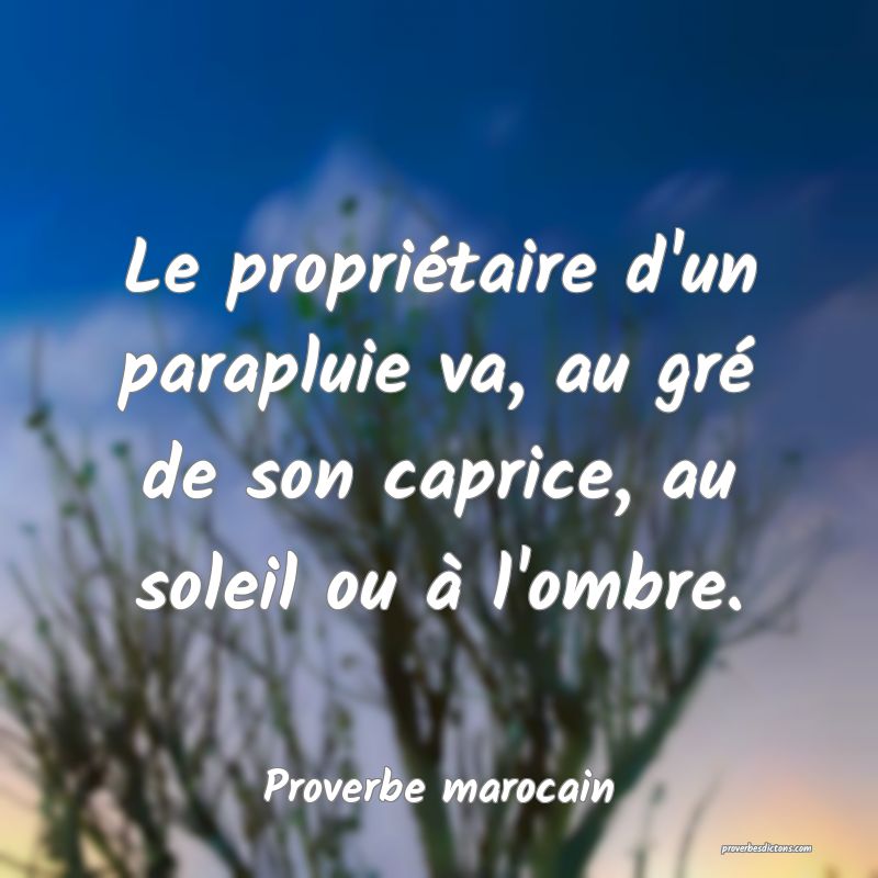  Le propriétaire d'un parapluie va, au gré de son caprice, au soleil ou à l'ombre.