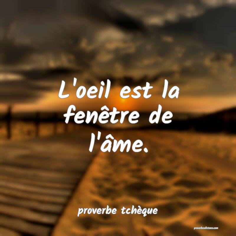 L'oeil est la fenêtre de l'âme.
