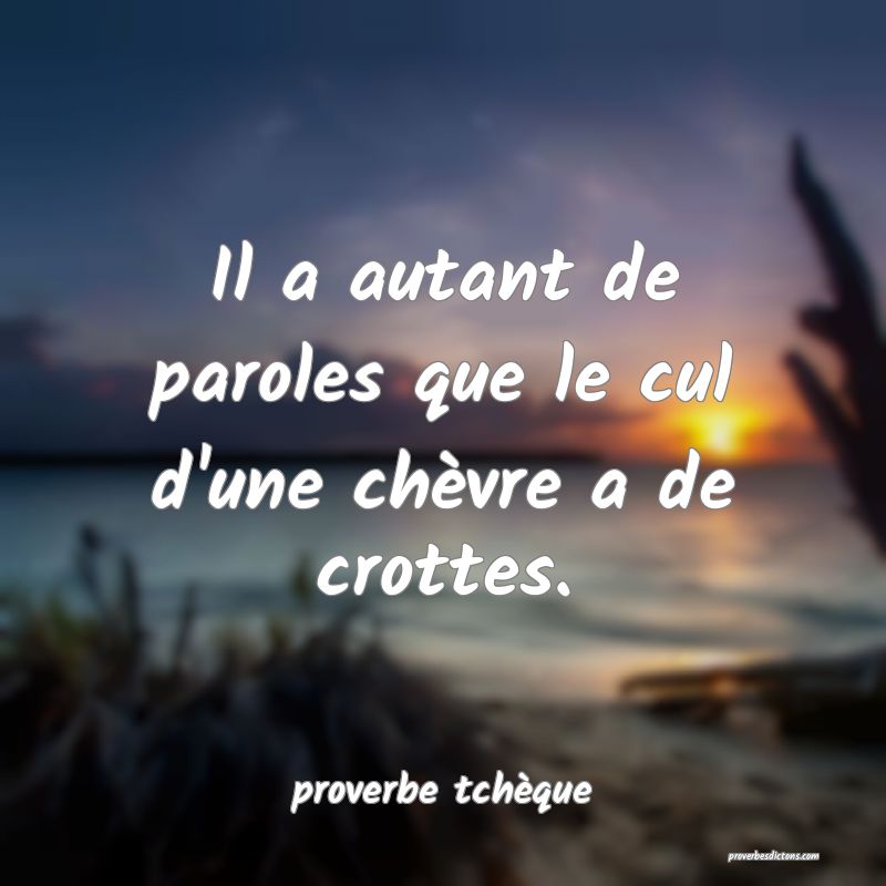 Il a autant de paroles que le cul d'une chèvre a de crottes.