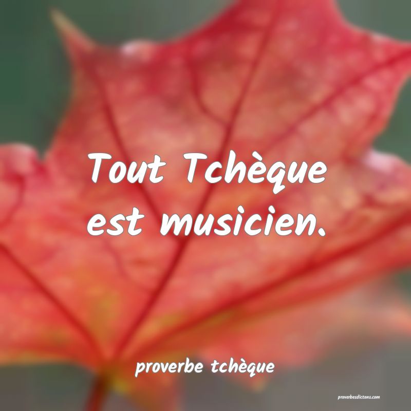  Tout Tchèque est musicien.