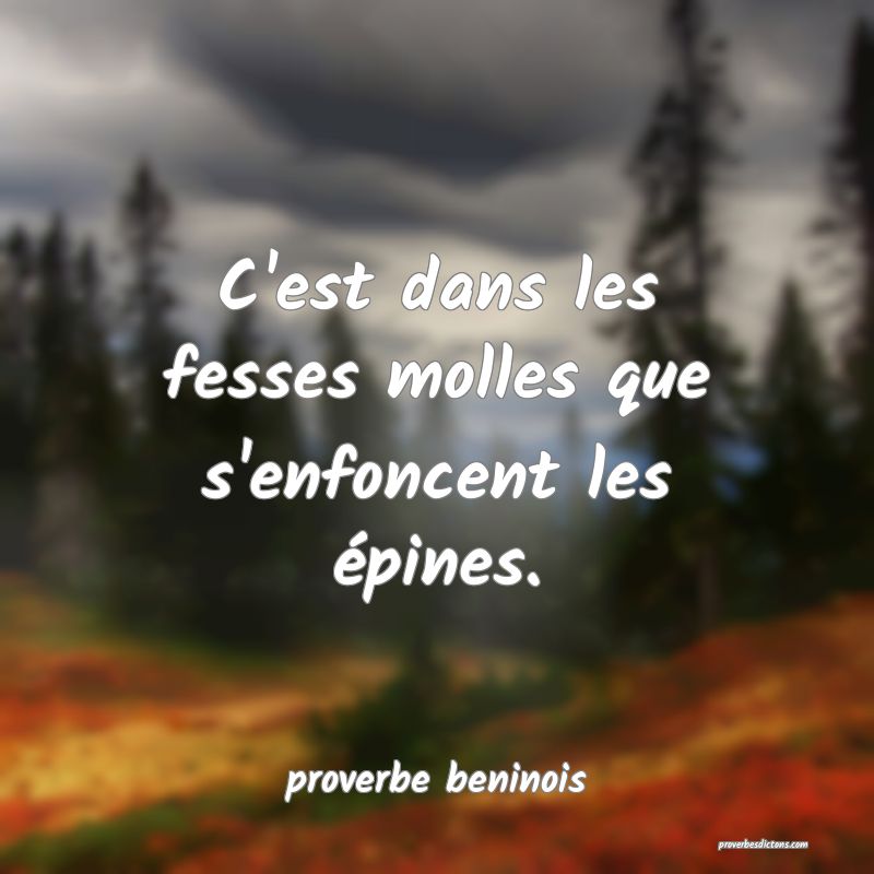  C'est dans les fesses molles que s'enfoncent les épines.