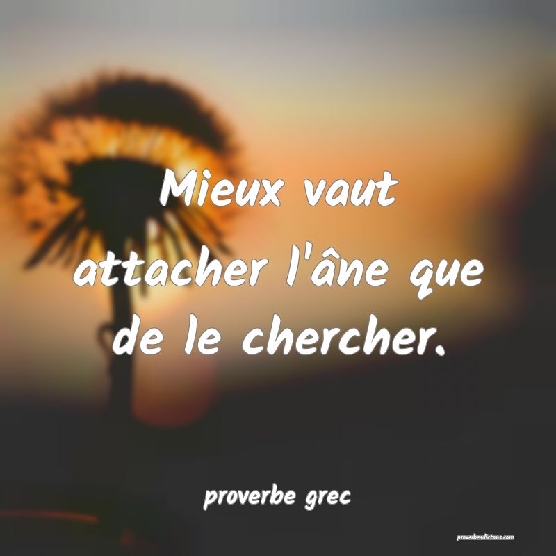  Mieux vaut attacher l'âne que de le chercher.