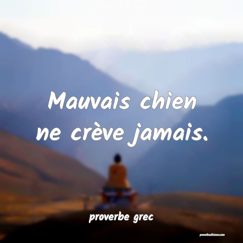  Mauvais chien ne crève jamais.
