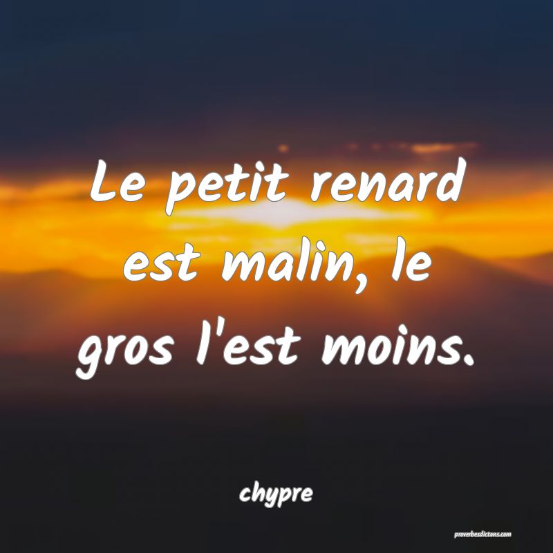  Le petit renard est malin, le gros l'est moins.