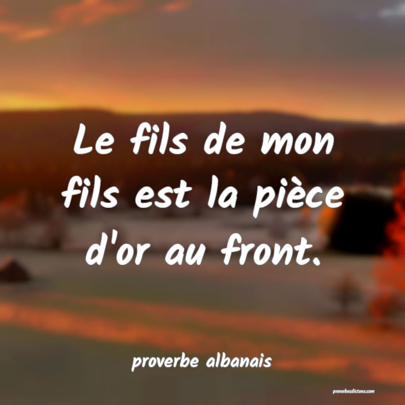  Le fils de mon fils est la pièce d'or au front.