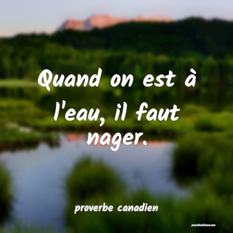  Quand on est à l'eau, il faut nager.