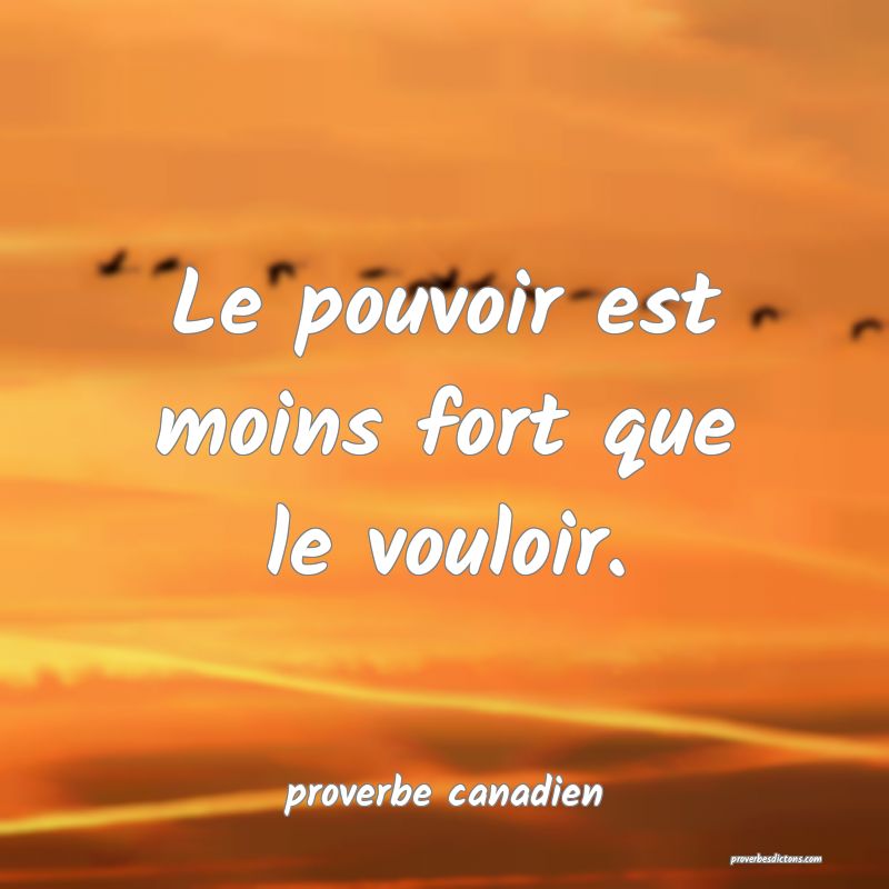  Le pouvoir est moins fort que le vouloir.