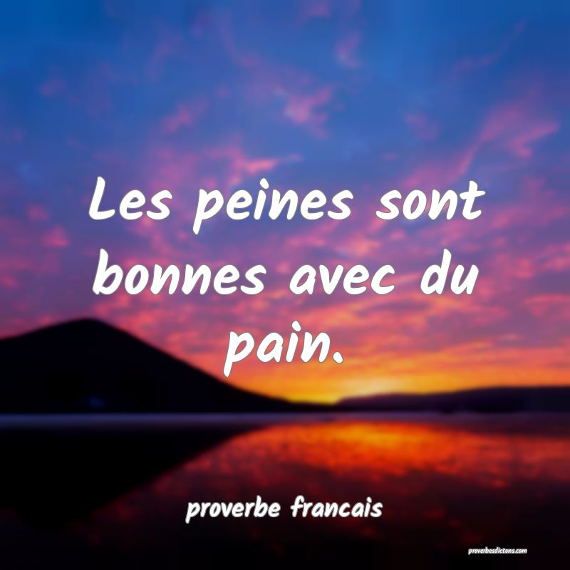  Les peines sont bonnes avec du pain.
