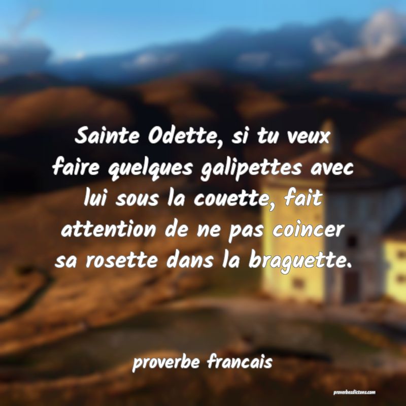  Sainte Odette, si tu veux faire quelques galipettes avec lui sous la couette, fait attention de ne pas coincer sa rosette dans la braguette.