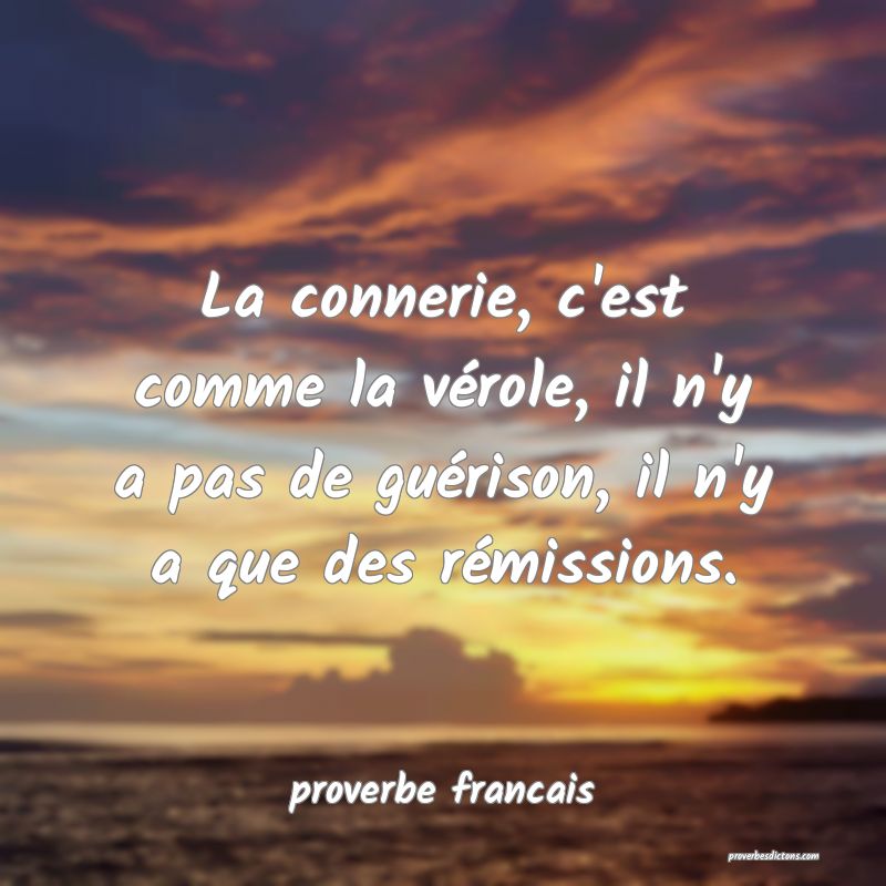  La connerie, c'est comme la vérole, il n'y a pas de guérison, il n'y a que des rémissions.