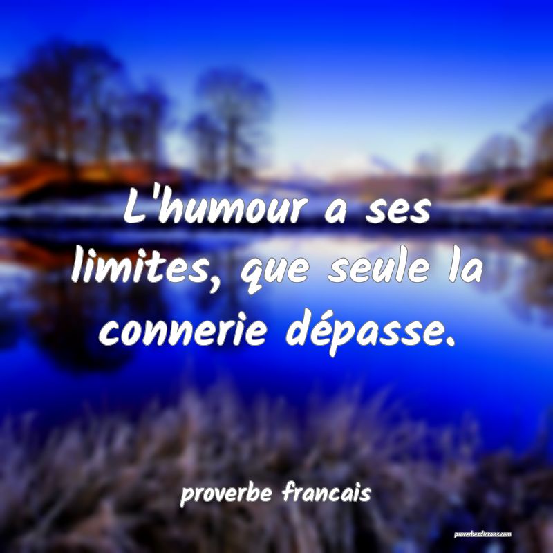  L'humour a ses limites, que seule la connerie dépasse.