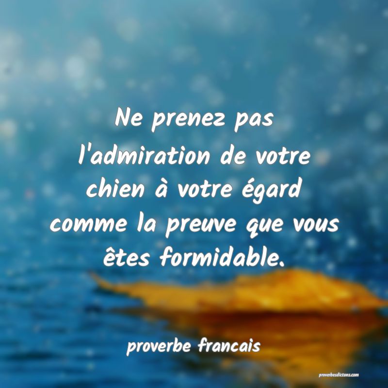  Ne prenez pas l'admiration de votre chien à votre égard comme la preuve que vous êtes formidable.
