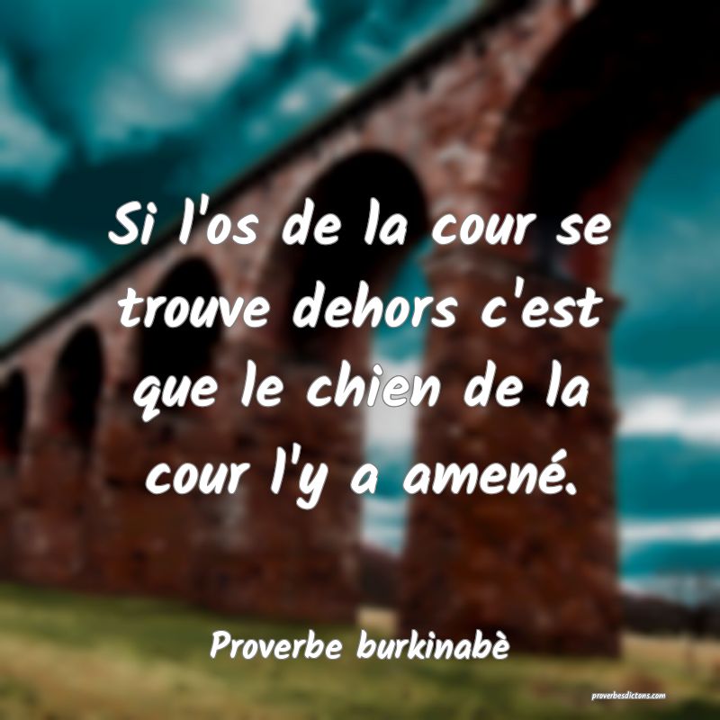  Si l'os de la cour se trouve dehors c'est que le chien de la cour l'y a amené.