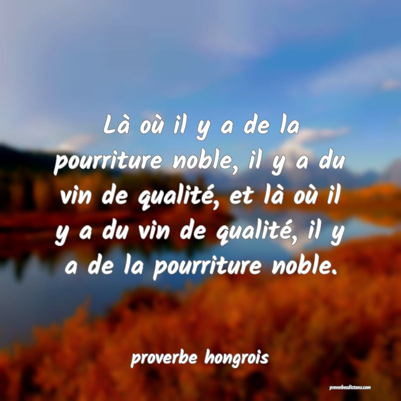  Là où il y a de la pourriture noble, il y a du vin de qualité, et là où il y a du vin de qualité, il y a de la pourriture noble.