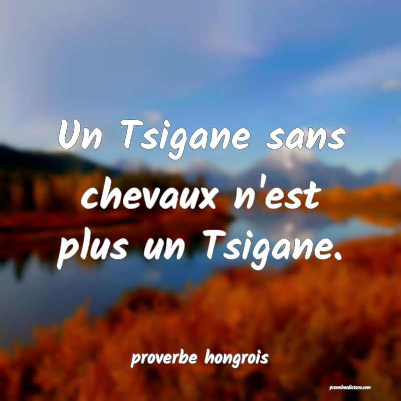  Un Tsigane sans chevaux n'est plus un Tsigane.