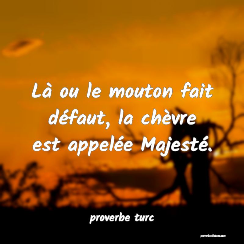 Là ou le mouton fait défaut, la chèvre est appelée Majesté.
