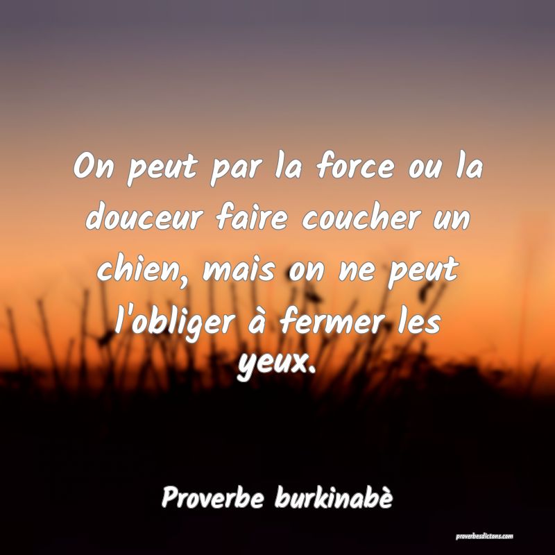  On peut par la force ou la douceur faire coucher un chien, mais on ne peut l'obliger à fermer les yeux.